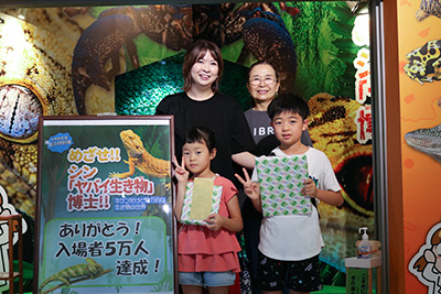 夏の特別展