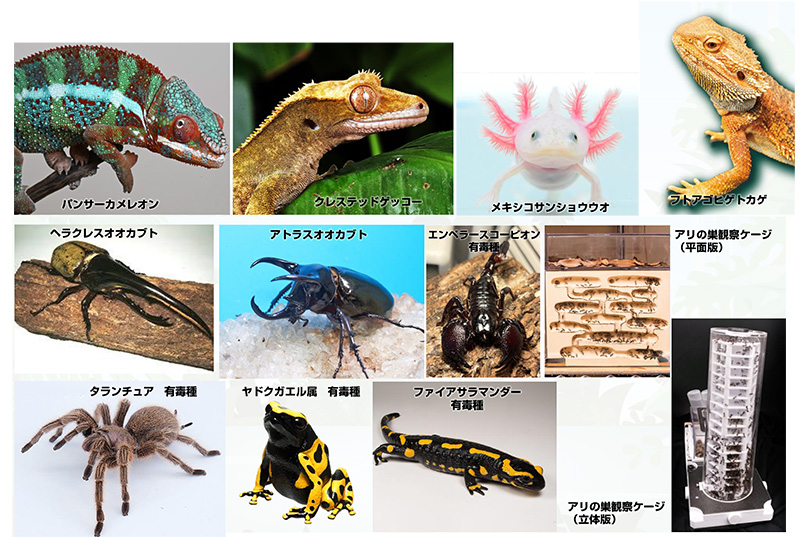 展示案内