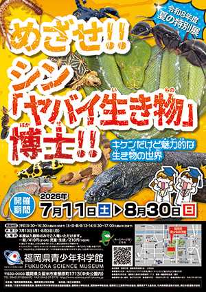 夏の特別展