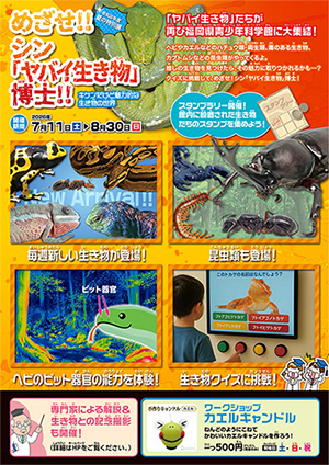夏の特別展